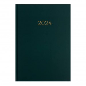 Щоденник датований А5 лінія 336 аркушів Buromax 2024 BM2160-04 Monochrome зелений