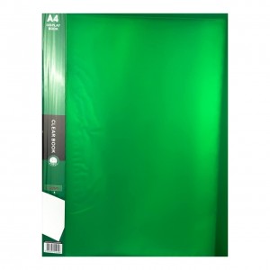 Папка з файлами Walid Stationery WS40AK 40 файлів пластик зелений